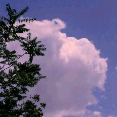 统治与文明内购破解版下载